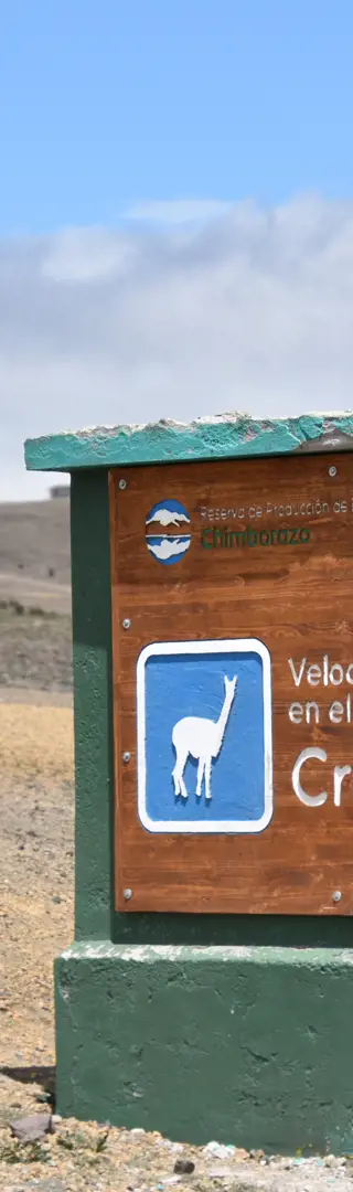 Achtung Vicuñas!